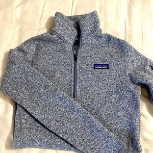 Patagonia Better Sweater 1/4 Zip Fleece